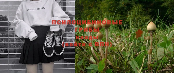 бошки Верхнеуральск