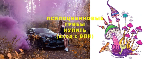 бошки Верхнеуральск